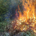 Le brûlage à l'air libre des déchets verts : dangereux et illégal toute l’année