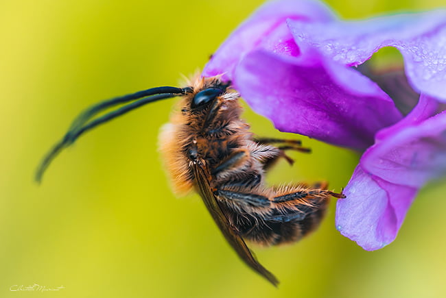 Expo photo 2024 Brignoles