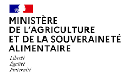 Stérilisation et identification des animaux Ville de Brignoles
