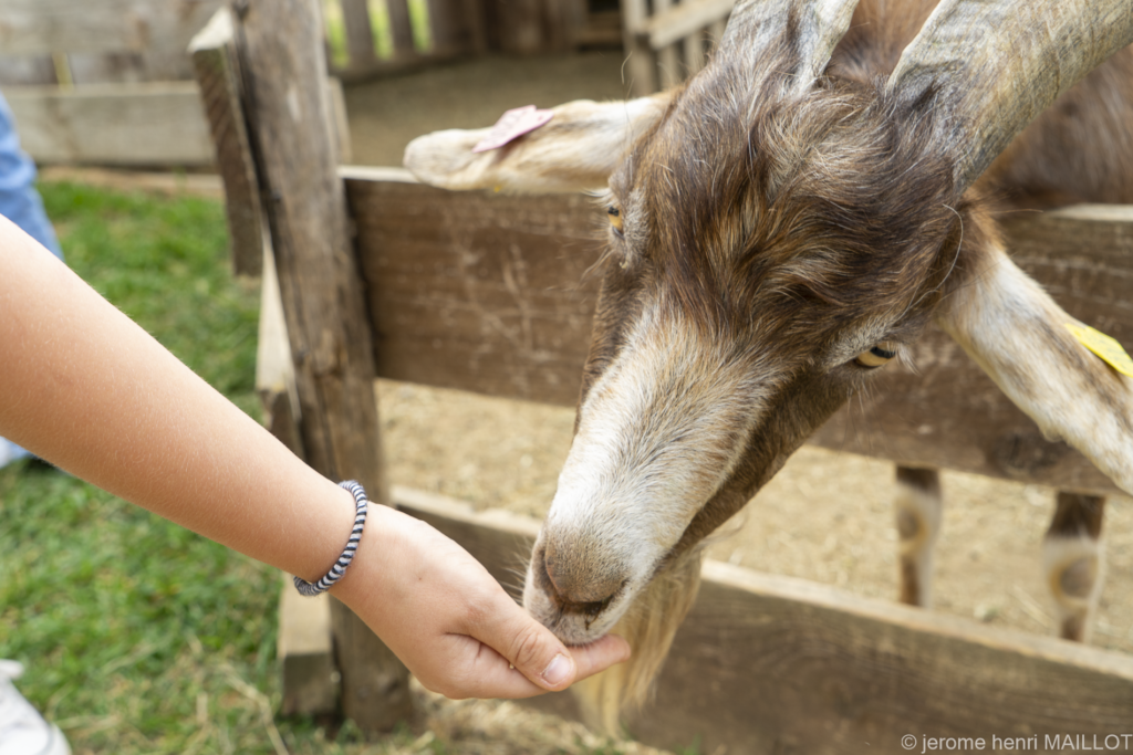 La Ferme de Noël Ville de Brignoles La Ferme de Noël Ville de Brignoles