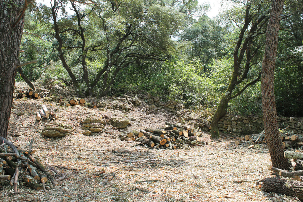Débroussaillement Brignoles
