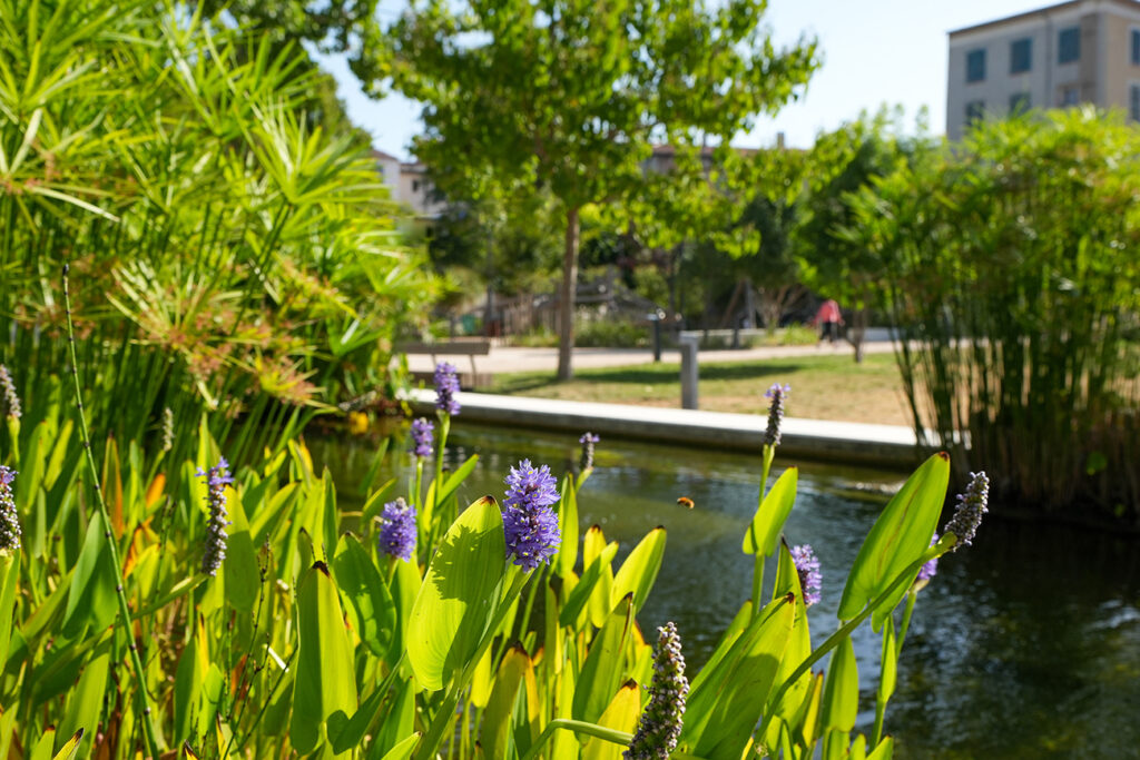 Villes Fleuries : Brignoles conserve la labellisation 3 Fleurs Ville de Brignoles