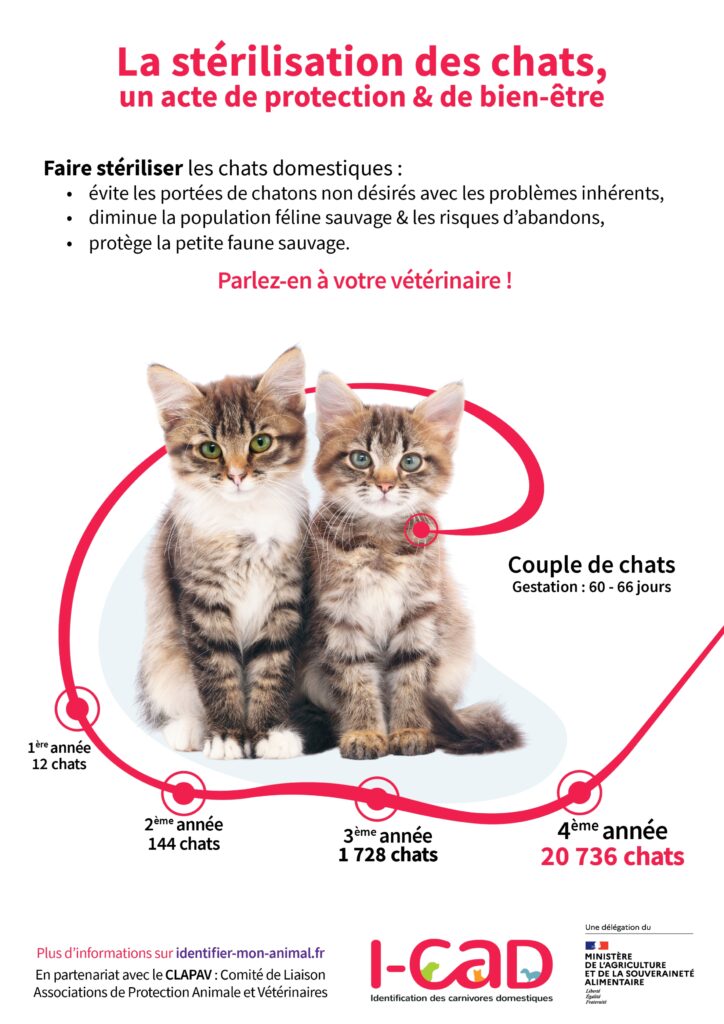 Stérilisation et identification des animaux Ville de Brignoles