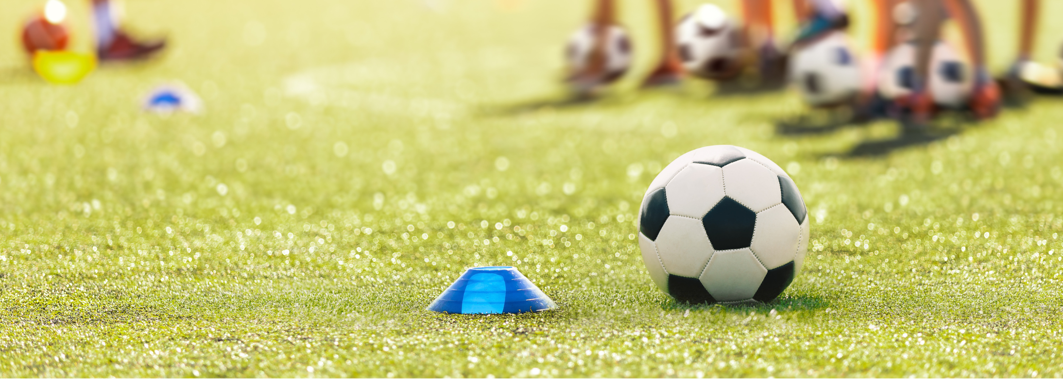 École Municipale des Sports Ville de Brignoles