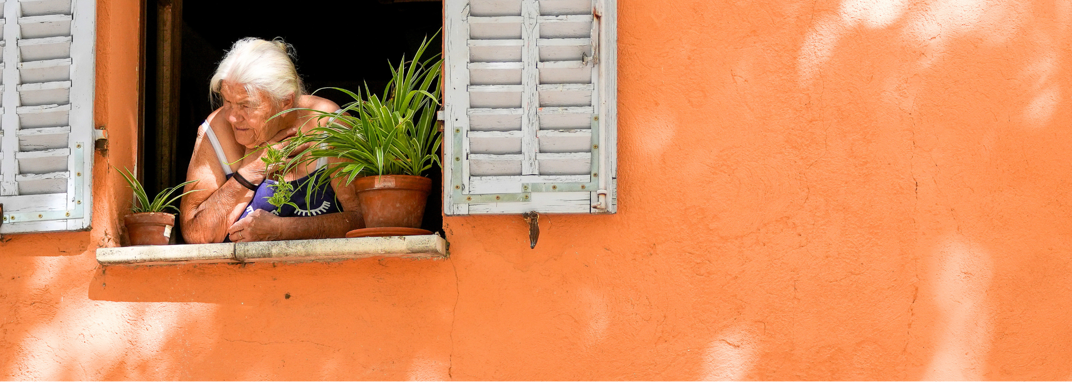 Pôle séniors & PMR Ville de Brignoles