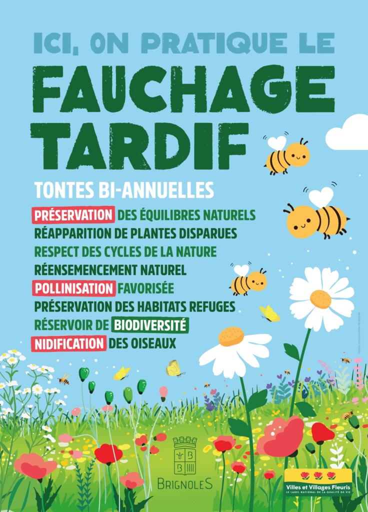 Le fauchage tardif : un parti pris écologique Ville de Brignoles