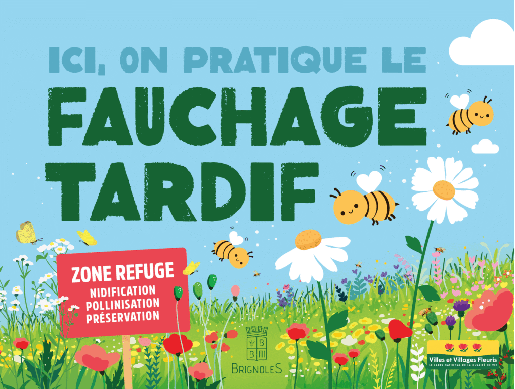 Le fauchage tardif : un parti pris écologique Ville de Brignoles