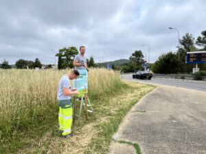 Le fauchage tardif : un parti pris écologique Ville de Brignoles