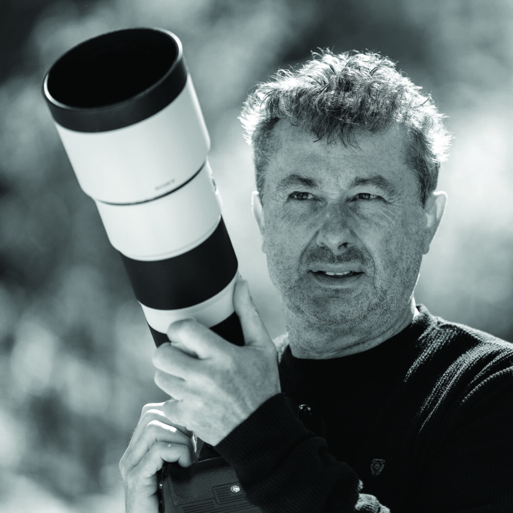 De pierres en pierres, voyage au cœur du patrimoine brignolais Ville de Brignoles