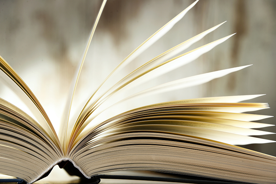 Prix des lecteurs du Var Ville de Brignoles