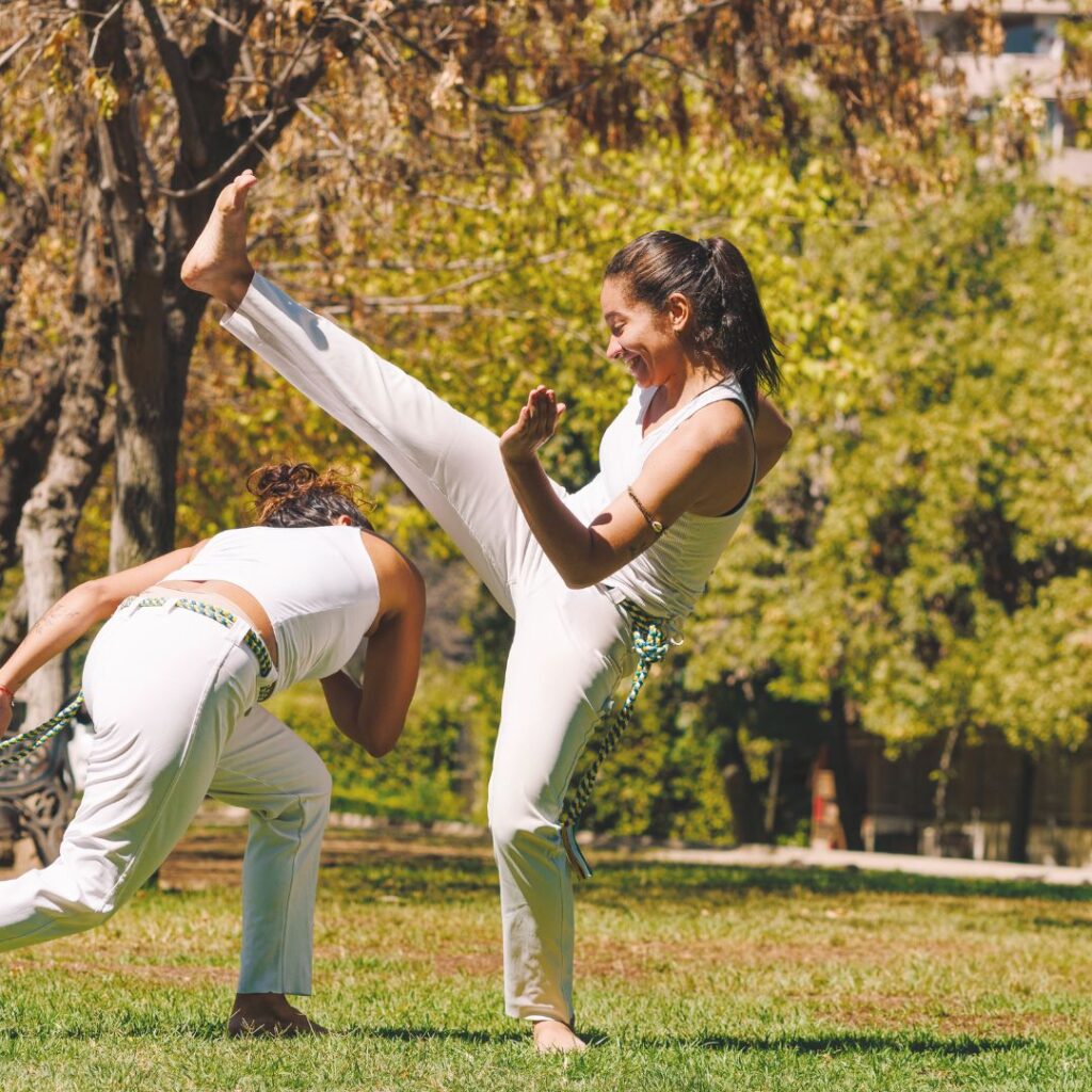 Cours de Capoeira Ville de Brignoles