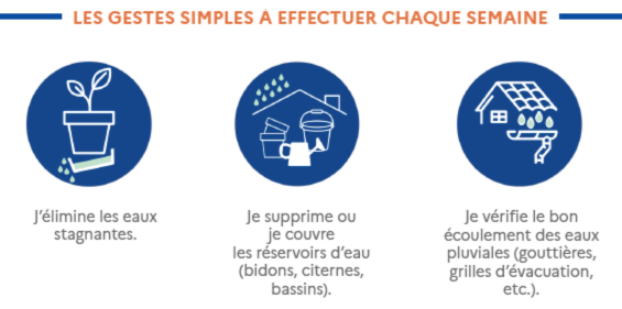 Lutte contre le moustique tigre : l'affaire de tous Ville de Brignoles