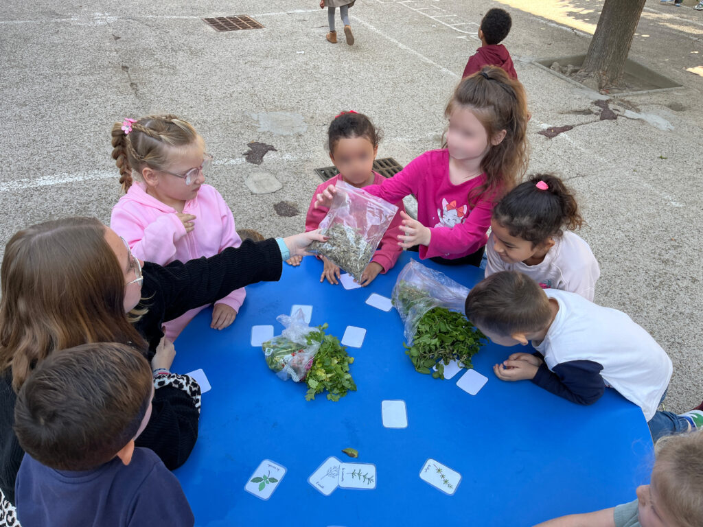 Retour sur la Semaine du Goût à Brignoles Ville de Brignoles