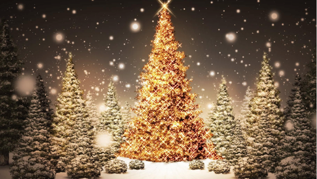 Concert en route vers Noël - Eglise des Augustins Ville de Brignoles