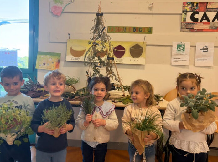 Retour sur la Semaine du Goût à Brignoles Ville de Brignoles