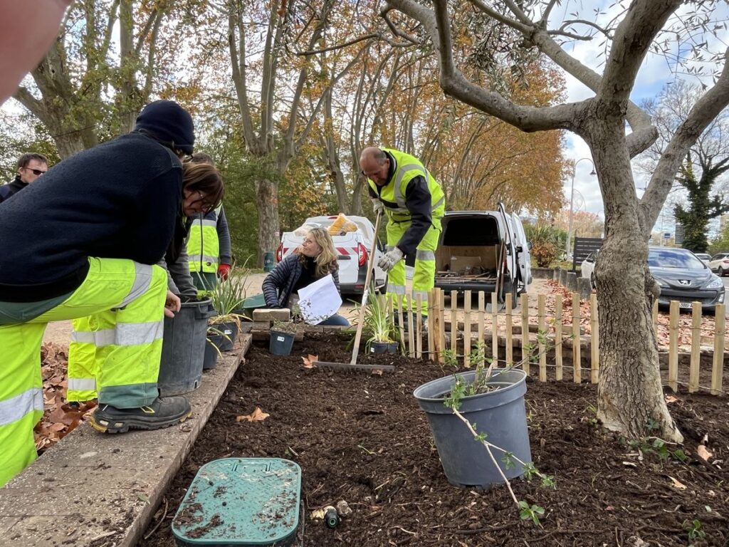 Des plantations économes en eau Ville de Brignoles