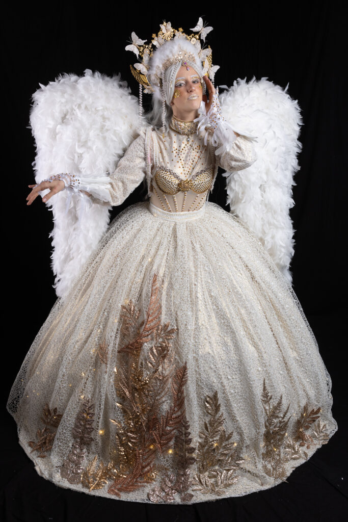 Parade « Vivement Noël » Ville de Brignoles