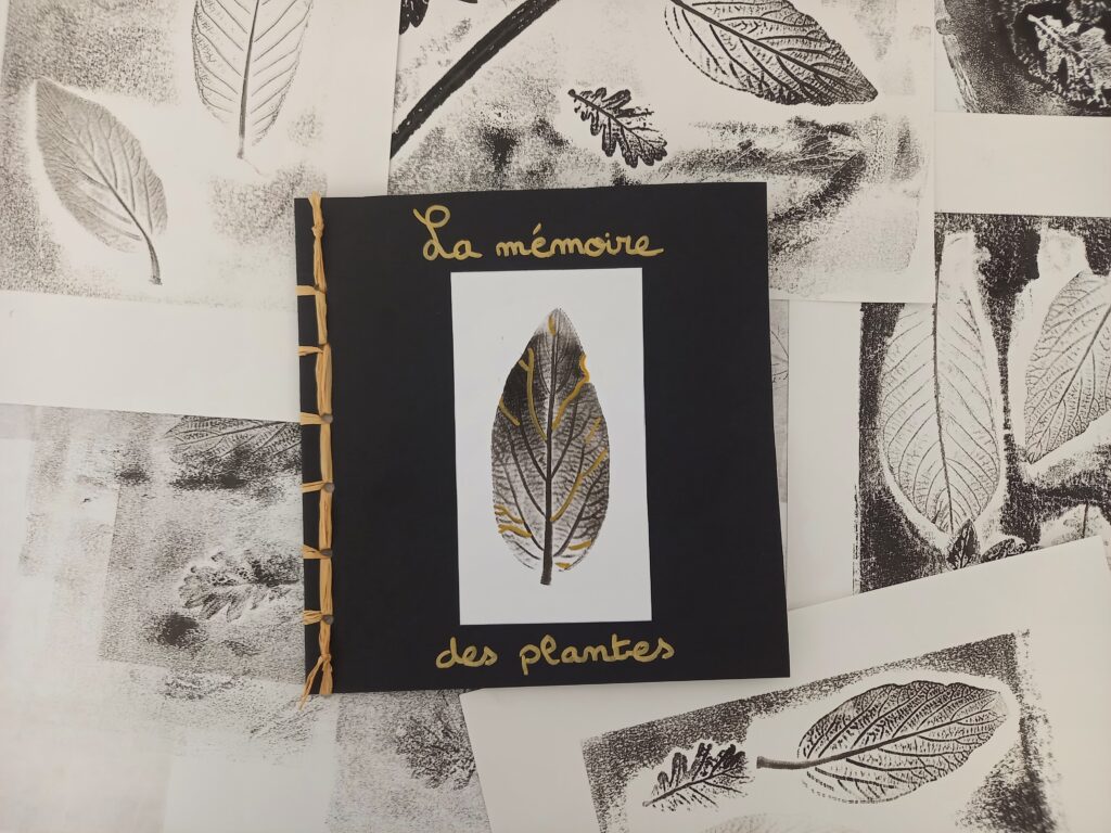 La mémoire des plantes Ville de Brignoles