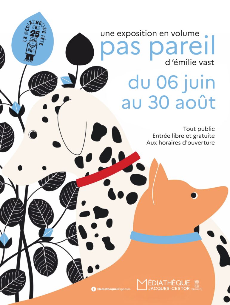 "Pas pareil" une exposition en volume d’Émilie Vast Ville de Brignoles